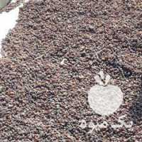 فروش کشمش بیدانه آفتابی در قزوین در گروه آجیل - فروش عمده محصولات در یکمیوه