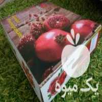 فروش کارتن میوه صادراتی در میانرود در گروه خرید فروش انواع بسته بندی کاغذی - کارتن مقوا در یکمیوه