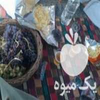 خریدار چوب درختان در تمام استان خراسان بهترین قیمت روز در فیروزه در گروه خرید فروش عمده چوب- زغال چوب گردو تبریزی خام در یکمیوه