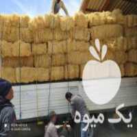 فروش یونجه کاه جو علوفه خوراک دام در اصفهان در گروه خوراک دام و طیور - پرواری شیری علوفه یونجه در یکمیوه