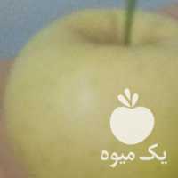 فروش سیب در ارومیه در گروه عسل شیره و فرآورده ی مربا - طبیعی گون کوهی آویشن در یکمیوه