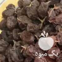 فروش کشمش بیدانه آفتابی تازه در قزوین در گروه آجیل - فروش عمده محصولات در یکمیوه