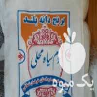 فروش کیسه برنج وچاپ در فریدونکنار در گروه خرید فروش بسته بندی نایلونی - کیسه نایلکس مشما پلاستیک در یکمیوه