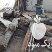فروش چوب گردو ، نارون ، چوب جنگلی ، اسلب در سیاهکل در گروه خرید فروش عمده چوب- زغال چوب گردو تبریزی خام در یکمیوه