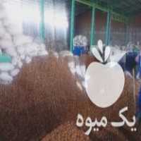 فروش پوست گردو وپودر گردو در تهران در گروه خرید فروش عمده چوب- زغال چوب گردو تبریزی خام در یکمیوه