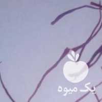 فروش زعفران نگین سوپر در مشهد در گروه خرید فروش عمده زعفران - قائنات قیمت خراسان بهرامن گرم در یکمیوه