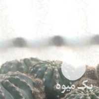 فروش گلدان پرازگل کاکتوس در تهران در گروه خرید فروش عمده گیاهان زینتی - گرمسیری آپارتمانی باغچه آب در یکمیوه