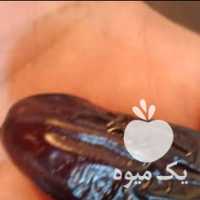 فروش خرما ربی در تهران در گروه خرید فروش عمده گوجه فرنگی - فرنگی سبز قرمز سیاه کبابی ربی در یکمیوه