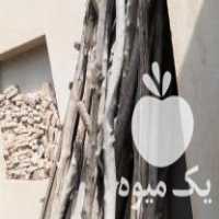 فروش چوب جهت احداث چفته انگور وعیره در بسطام در گروه خرید فروش عمده چوب- زغال چوب گردو تبریزی خام در یکمیوه