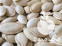 فروش تخمه کدوگوشتی در کرمان  در گروه خرید فروش تجهیزات گلخانه - صنعتی خانگی هوشمند دست دوم در یکمیوه -عکس1