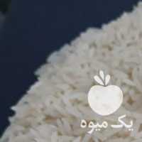 فروش برنج محلی گیلان 1400 در رشت در گروه خرید فروش عمده برنج - نیم دانه عنبر بو هاشمی کاظمی هندی پاکستانی در یکمیوه