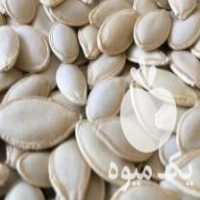 فروش تخمه کدوگوشتی در کرمان  در گروه خرید فروش تجهیزات گلخانه - صنعتی خانگی هوشمند دست دوم در یکمیوه