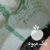 فروش کشمش آفتابی در قزوین در گروه آجیل - فروش عمده محصولات در یکمیوه