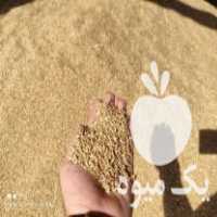 فروش گندم درجه یک سبوس و گلوتن ذرت در نظرآباد در گروه خوراک دام و طیور - پرواری شیری علوفه یونجه در یکمیوه