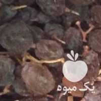 فروش 400 کیلو‌ کشمش بیدانه افتابی 300 کیلو تیزابی در قزوین در گروه آجیل - فروش عمده محصولات در یکمیوه