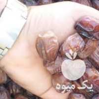 فروش ریزه خرما خاصه جم در بوشهر در گروه ادویه - ترشی کاری ادویه جات خشک در یکمیوه