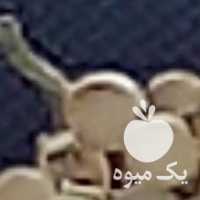 فروش انگور شیره ای درسبزوار در تهران در گروه خرید فروش عمده انگور - یاقوتی شانی عسگری بی دانه قرمز در یکمیوه