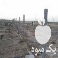 فروش عمده پایه فنس بتنی با ضمانت و نازلترین قیمت در آبیک در گروه خرید فروش اتصالات و تجهیزات آبیاری - شیر لوله نوار در یکمیوه