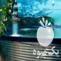 فروش استخر پیش ساخته پرورش ماهی در رویان در گروه انواع ماهی - سالمون شیر کپور قرمز شوریده سفید گوپی مرکب در یکمیوه