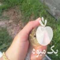فروش انواع بچه ماهی گرمی کپور وکوی در پاکدشت در گروه ماهی کپور - ماهیان معمولی علف خوار پرورشی خرید و فروش در یکمیوه