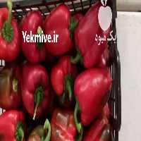 فروش فلفل دلمه گلخانه ای در خرم آباد در گروه خرید فروش عمده فلفل - دلمه سبز رنگی پاریریکا هالوپینو کاین در یکمیوه