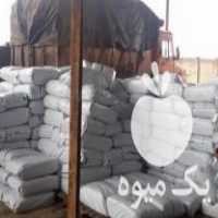 فروش سیلوی ذرت علوفه ای در قزوین در گروه خوراک دام و طیور - پرواری شیری علوفه یونجه در یکمیوه