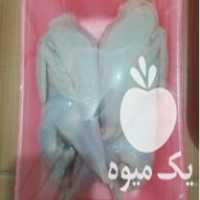 فروش مرغ ،  ماهی ،  بلدرچین ،  در تهران در گروه انواع تخم ها - مرغ بوقلمون پرنده عمده کشاورزی در یکمیوه