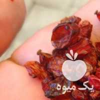 فروش زرشک دانه اناری عمده بسته بندی یک کیلویی در تهران در گروه خرید فروش عمده ازگیل و تمشک و زرشک - ژاپنی فروش مستقیم در یکمیوه