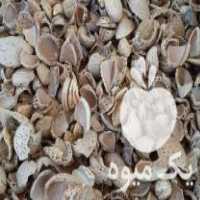 خرید و فروش پوست گردو و پسته و بادام در آذرشهر در گروه خرید فروش عمده چوب- زغال چوب گردو تبریزی خام در یکمیوه