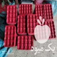 فروش شانه میوه وکیوم در گرگان در گروه خرید فروش انواع سبد - میوه پلاستیکی چوبی گل در یکمیوه