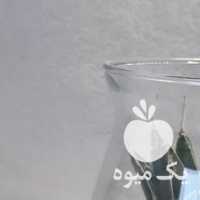 فروش تراریوم کاکتوس گلدان کادو هدیه در تهران در گروه خرید فروش عمده گیاهان زینتی - گرمسیری آپارتمانی باغچه آب در یکمیوه