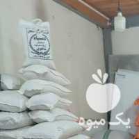 فروش عمده برنج علی کاظمی عمده تناژ در آستانه اشرفیه در گروه خرید فروش عمده برنج - نیم دانه عنبر بو هاشمی کاظمی هندی پاکستانی در یکمیوه