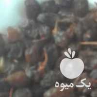 فروش کشمش افتابی و فخری درشت وخوشمزه در همدان در گروه آجیل - فروش عمده محصولات در یکمیوه