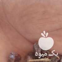 فروش کشمش بیدانه در قزوین در گروه آجیل - فروش عمده محصولات در یکمیوه