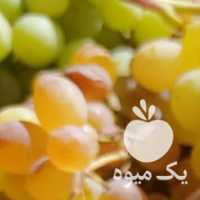 فروش شیره انگورملایر در همدان در گروه عسل شیره و فرآورده ی مربا - طبیعی گون کوهی آویشن در یکمیوه