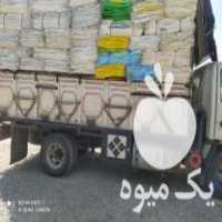 فروش انواع گونی توری شکری شسته در تهران در گروه سایر خدمات - حوزه محصولات کشاورزی و دامپروری در یکمیوه