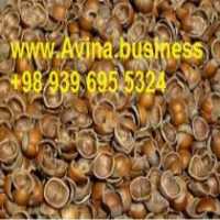 فروش صادرات پوست فندق ، پسته ، بادام زمینی در تهران در گروه بادام - درختی کوهی زمینی فروش عمده در یکمیوه