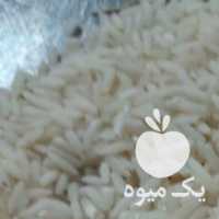 فروش برنج کاظمی در رشت در گروه خرید فروش عمده برنج - نیم دانه عنبر بو هاشمی کاظمی هندی پاکستانی در یکمیوه