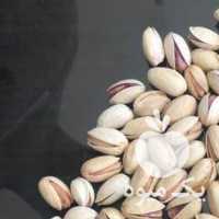 فروش عمده پسته تناژ در تهران در گروه پسته - کوهی شامی خام اکبری تازه کله قوچی در یکمیوه