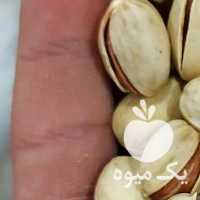 فروش پسته کله قوچی خام و شور زعفرانی در تهران در گروه پسته - کوهی شامی خام اکبری تازه کله قوچی در یکمیوه