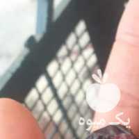 فروش خرما ضایعاتی در تهران در گروه خوراک دام و طیور - پرواری شیری علوفه یونجه در یکمیوه