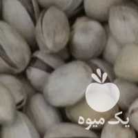 فروش پسته خشک کیفیت بالا خراسان در تهران در گروه پسته - کوهی شامی خام اکبری تازه کله قوچی در یکمیوه