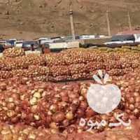 فروش صادرات پیاز و سیب زمینی ب عراق در کرمانشاه در گروه حق العمل کاری محصولات کشاورزی و دامداری خدمات کارمزد در یکمیوه