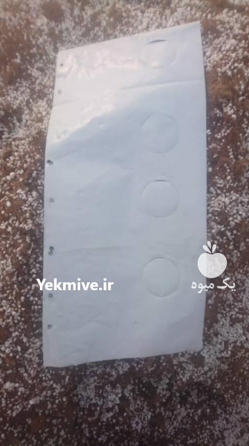 فروش گروبک در کرج در گروه خرید فروش عمده توت فرنگی - خرید فروش عمده قرمز سفید در یکمیوه -عکس1