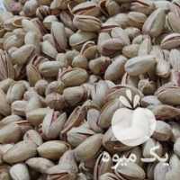 فروش پسته اکبری امسالی انس 22 9 در تهران در گروه پسته - کوهی شامی خام اکبری تازه کله قوچی در یکمیوه