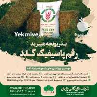 فروش بذر یونجه گرمسیری رقم آمریکایی پاسیفیک گلد در تهران در گروه خرید فروش بذر - انواع محصول کشاورزی گوجه کتان میوه درخت در یکمیوه