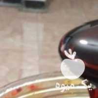 فروش شیره خرما سنتی در تهران در گروه عسل شیره و فرآورده ی مربا - طبیعی گون کوهی آویشن در یکمیوه