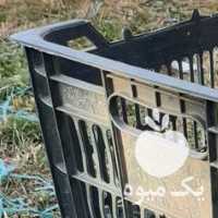 فروش سبد پلاستیکی سیب در مراغه در گروه خرید فروش انواع سبد - میوه پلاستیکی چوبی گل در یکمیوه