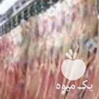 فروش عرضه عمده گوشت گوسفندی و گوساله در تهران در گروه گاو و گوسفند و میش و بز کهره گوساله سمینتال در یکمیوه
