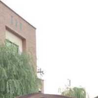 فروش دو راس اسب کالسکه در کرج در گروه اسب و الاغ خر و فروش قاطر- ترکمن عربی سفید نر و ماده در یکمیوه